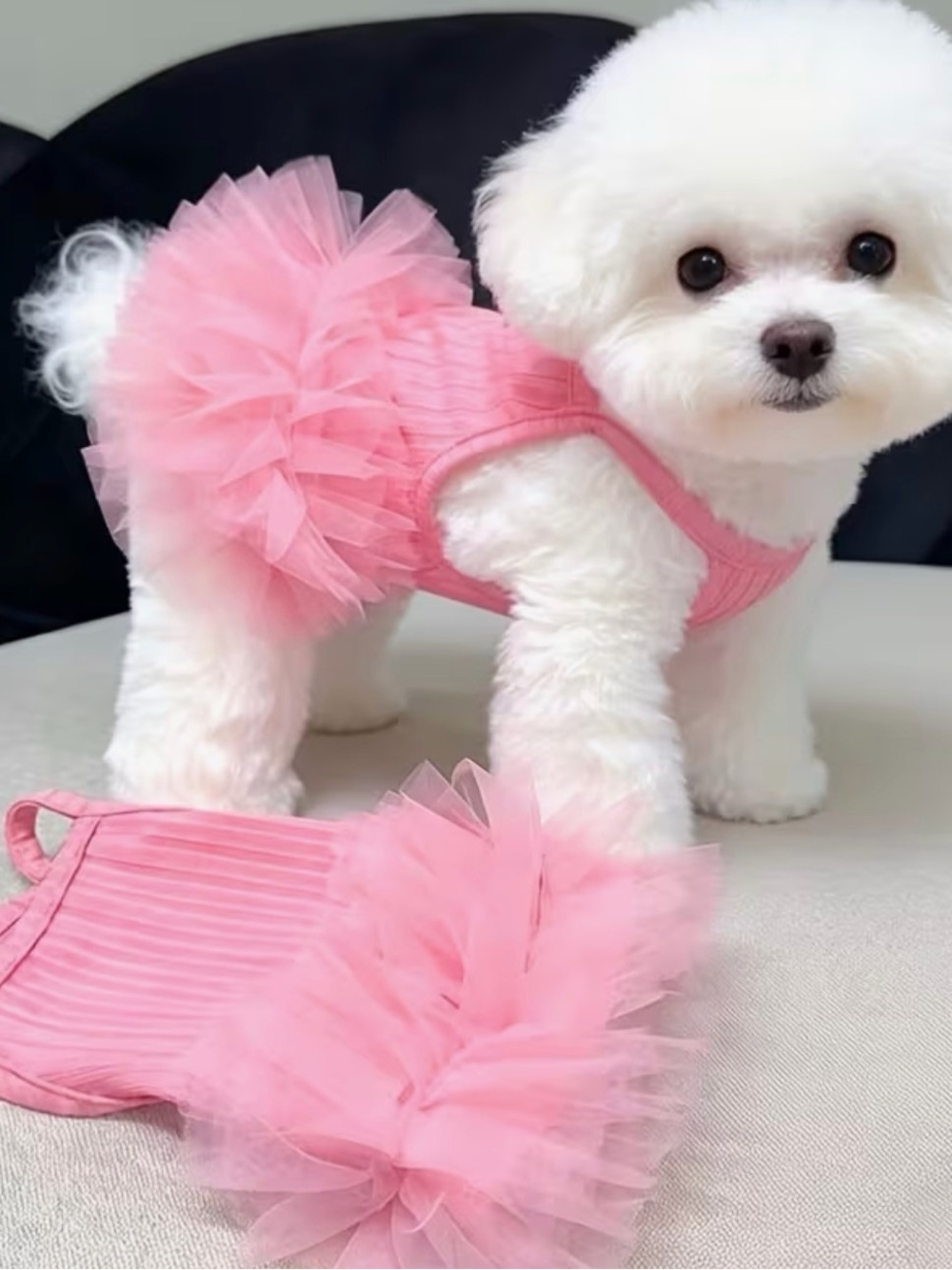 🛍️ 3 for $10 🛍️ Pink Tulle Pet Dress - Elegant Dog or Cat Sundress Tutu - Picture 3 of 10
